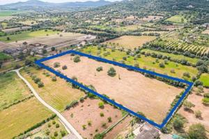 Terreno en venta en Manacor, Afueras photo 0