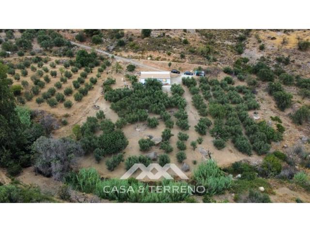 Casa con terreno en venta en Alcaucín photo 0