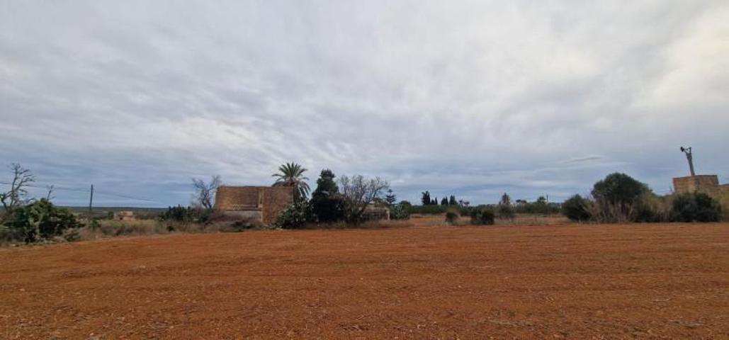 Casa con terreno en venta en Campos, Es palmer photo 0