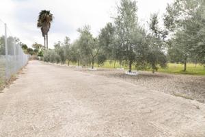 Chalet en venta en Jerez de la Frontera, Pedanías este photo 0