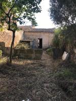 Terreno en venta en Sencelles, Sancelles photo 0