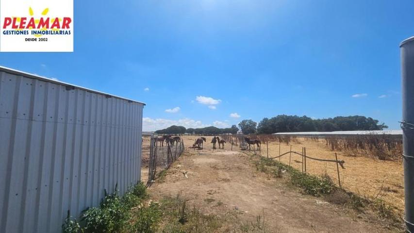 Terreno en venta en Chipiona, Camino de Jerez photo 0