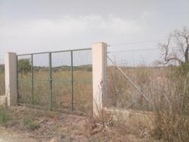 Terreno en venta en Manacor, Sa Marineta photo 0