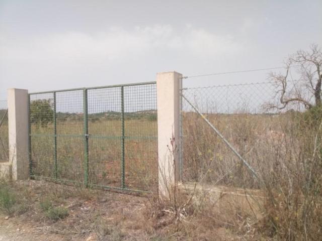 Terreno en venta en Manacor, Sa Marineta photo 0