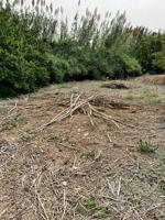 Chalet en venta en Vejer de la Frontera, Santa lucía photo 0