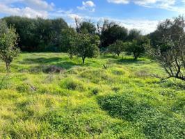 Casa con terreno en venta en Vejer de la Frontera, Libreros photo 0