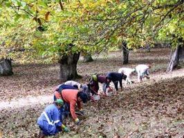 Chalet en venta en Galaroza, Sierra de aracena photo 0