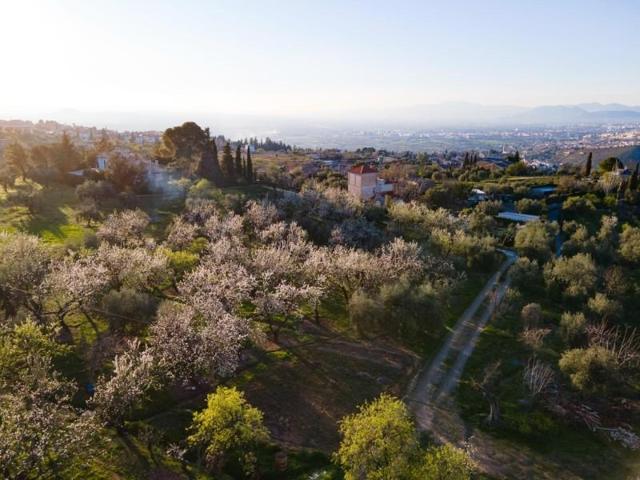 Casa con terreno en venta en Monachil, Llanos photo 0