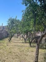 Terreno en venta en Sencelles, Sancelles photo 0