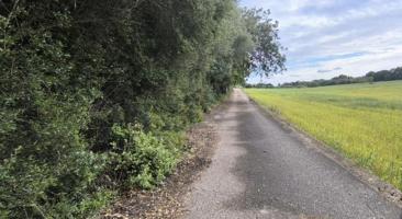 Terreno en venta en Muro, Muro photo 0