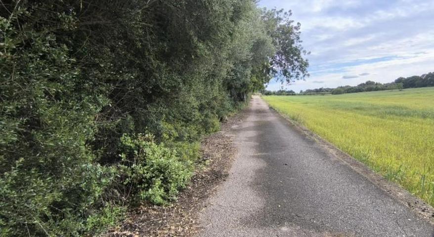 Terreno en venta en Muro, Muro photo 0