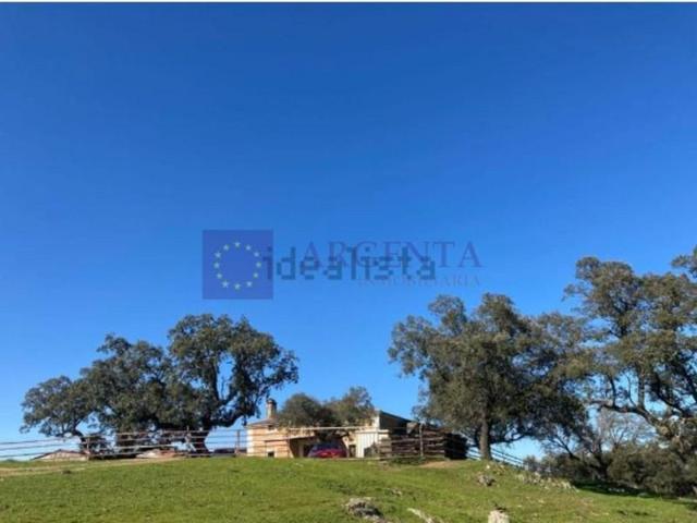 Chalet en venta en Navalmoral de la Mata photo 0