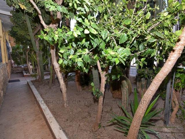 Casas de pueblo en venta en Pulpí photo 0