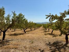 Chalet en venta en Alhama de Granada photo 0