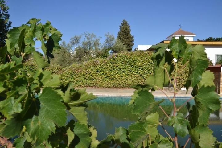 Terreno en venta en Espartinas, Espartinas Pueblo photo 0
