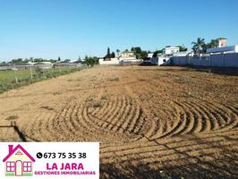 Terreno en venta en Sanlúcar de Barrameda, Camino de la Jara, 11540 photo 0