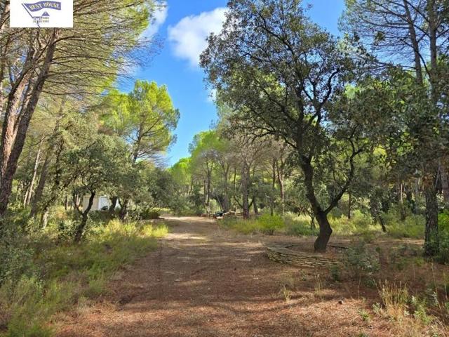 Terreno en venta en Albacete, Los Llanos photo 0