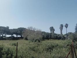 Terreno en venta en Chiclana de la Frontera, Pelagatos - Pago del Humo photo 0