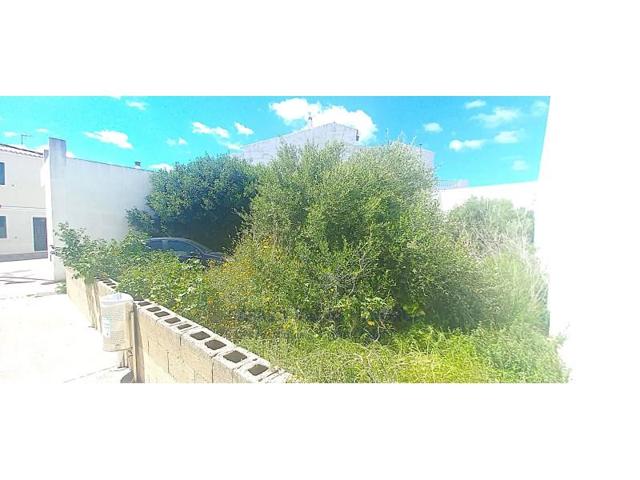 Terreno en venta en Alaior photo 0