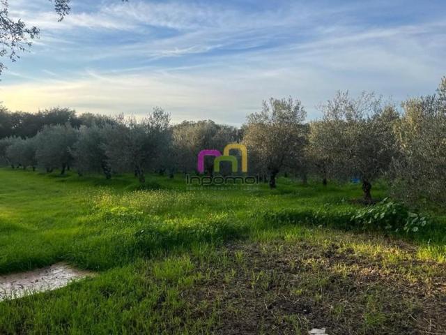 Casa con terreno en venta en Badajoz, Manatío photo 0