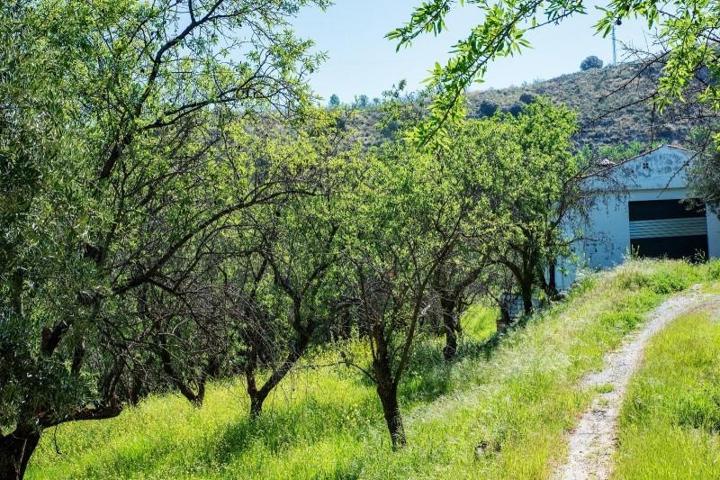 Chalet en venta en Pinos Genil, Ctra. De Sierra Nevada photo 0