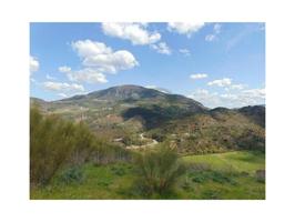 Casa con terreno en venta en Algodonales photo 0