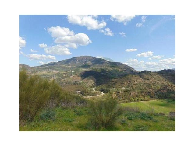 Casa con terreno en venta en Algodonales photo 0