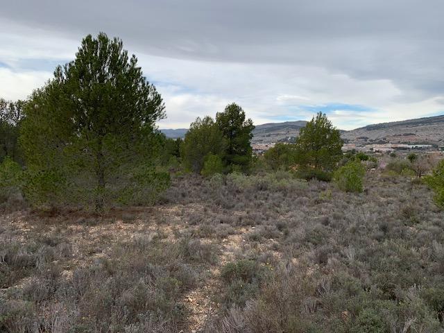Terreno en venta en Ibi, Comunidad valenciana photo 0