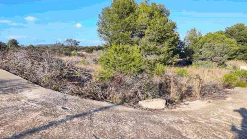 Terreno en venta en Creixell, Creixell de mar photo 0