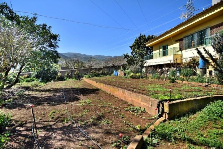 Chalet en venta en Vega de San Mateo, La lechuza gran canaria photo 0