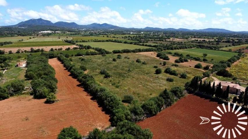 Terreno en venta en Felanitx, Pologino 3 Parcela 107, 0, 07200 photo 0