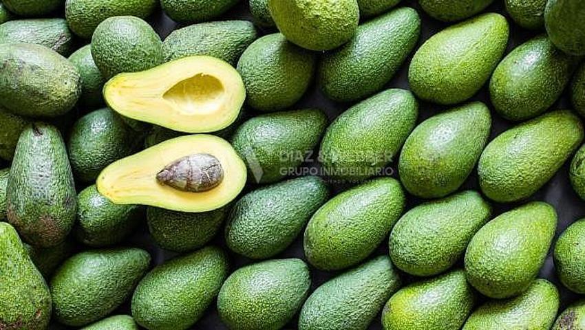 Terreno en venta en Algarrobo photo 0