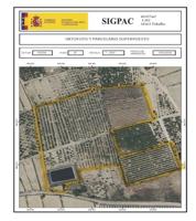 Terreno en venta en Jacarilla, Vistabella photo 0