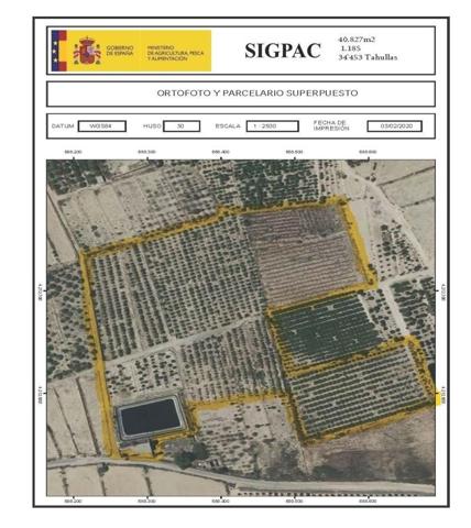 Terreno en venta en Jacarilla, Vistabella photo 0