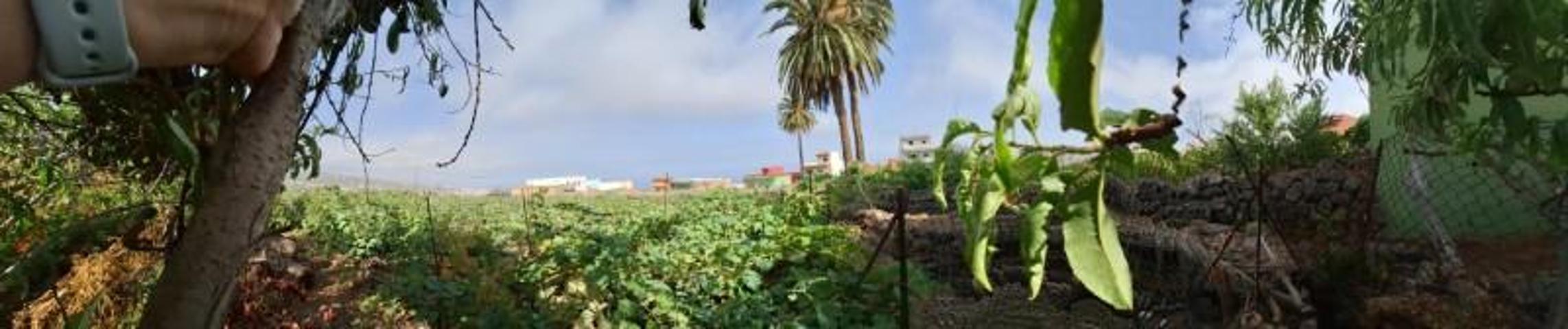 Terreno en venta en La Victoria de Acentejo, La vera carril tenerife photo 0