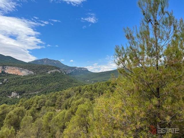 Terreno en venta en Moratalla photo 0