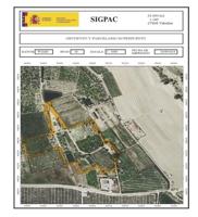 Terreno en venta en Jacarilla, Vistabella photo 0