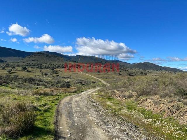 Chalet en venta en Carrascalejo photo 0