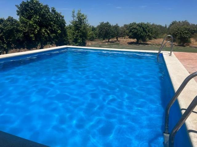 Chalet en venta en La Algaba, La Algaba photo 0