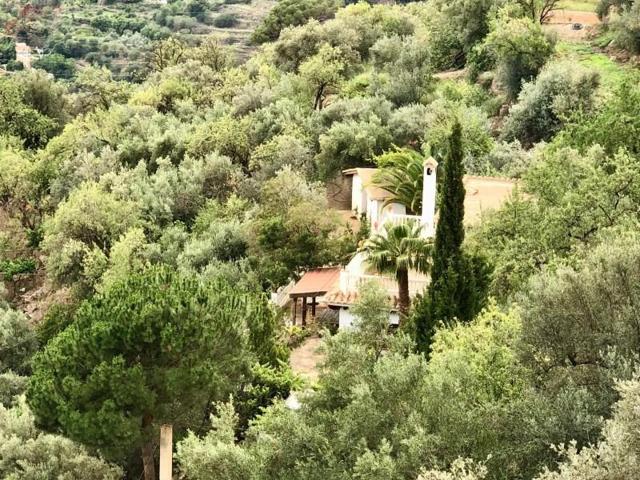 Chalet en venta en Lanjarón photo 0