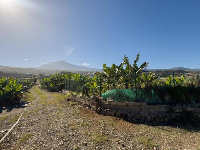 Casa con terreno en venta en La Guancha, Santo domingo tenerife photo 0