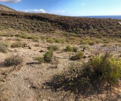 Terreno en venta en Fasnia, Zona Centro photo 0