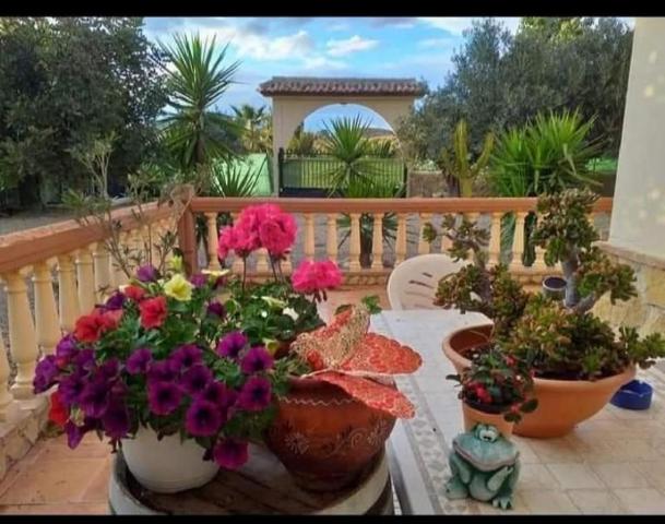 Chalet en venta en Los Gallardos, CARRETERA LOS GALLARDOS GARRUCHA photo 0