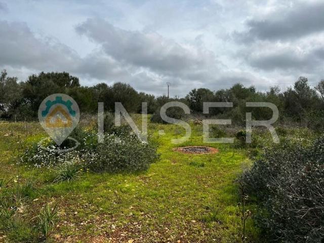 Chalet en venta en Campos photo 0