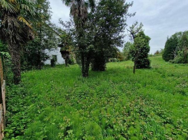 Terreno en venta en Oviedo, San Claudio-Trubia-Las Caldas photo 0