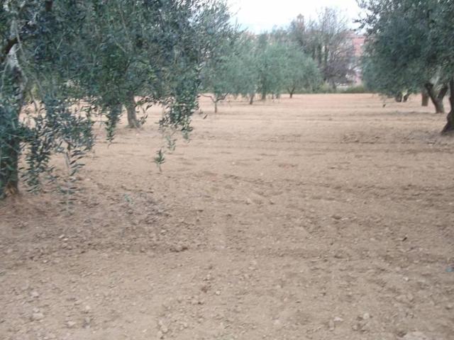 Terreno en venta en Hostalets de Pierola, Can pujades photo 0