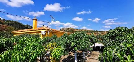 Casa con terreno en venta en Vélez-Málaga, Vélez-Málaga photo 0