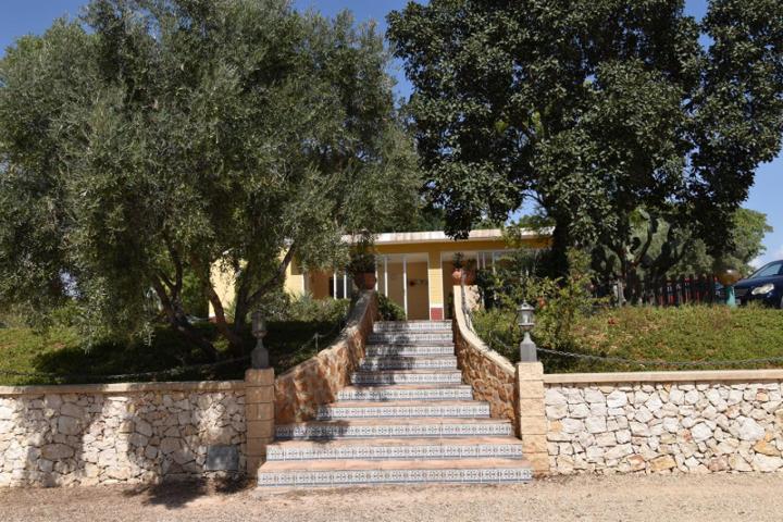 Chalet en venta en Elche, Santa Ana, 03295 photo 0