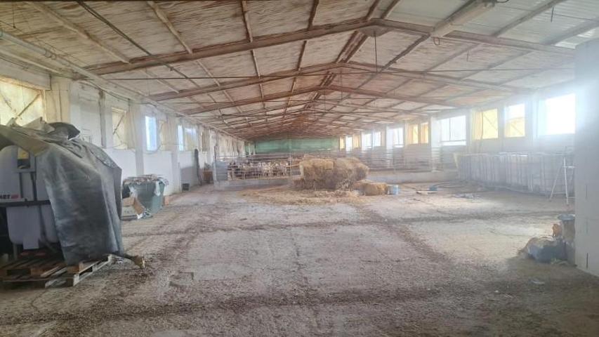 Nave industrial en venta en Quintanar de la Orden, Quintanar de la Orden photo 0