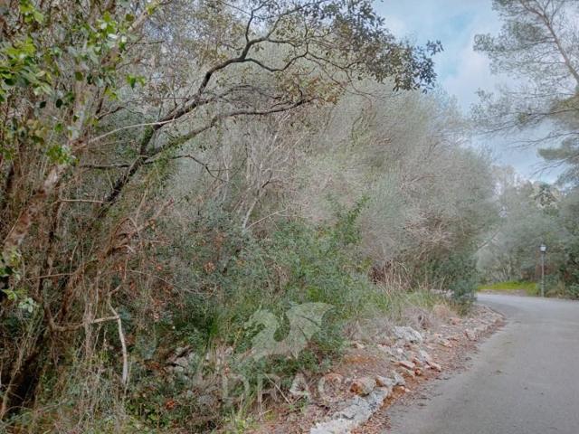 Terreno en venta en Santanyí photo 0